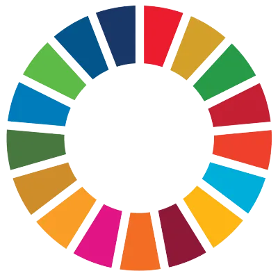 SDG Logo